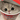TedNoch