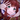 lilphoenix3