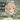 arxangel_mixail