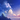 nuage