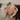 badechan_