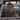 lilyrose