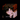 gn0meo