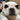 lmaofemdog