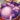_Mega_