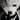 socialdeath