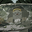 DeadPanda606