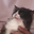 kittobit