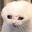 0rQbit51