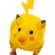 PiKaq