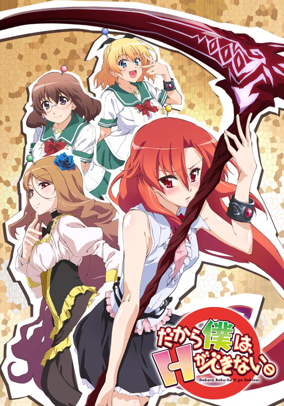 Dakara Boku wa, H ga Dekinai. Recap