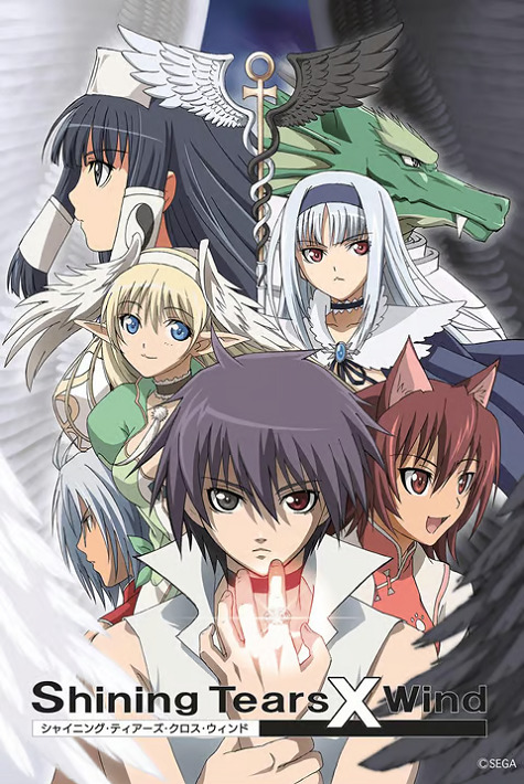 Постер аниме Сверкающие слёзы и ветер смотреть онлайн