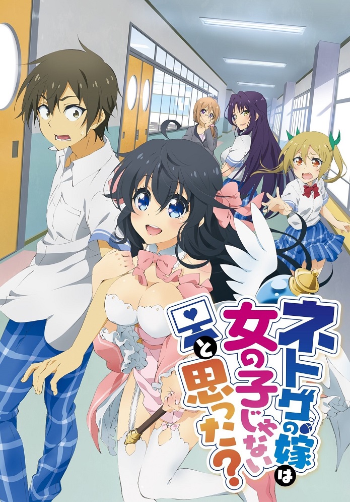 Постер аниме А ты думал, что твоя жена в онлайн-игре на самом деле не девушка? смотреть онлайн