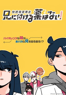 Ani ni Tsukeru Kusuri wa Nai!