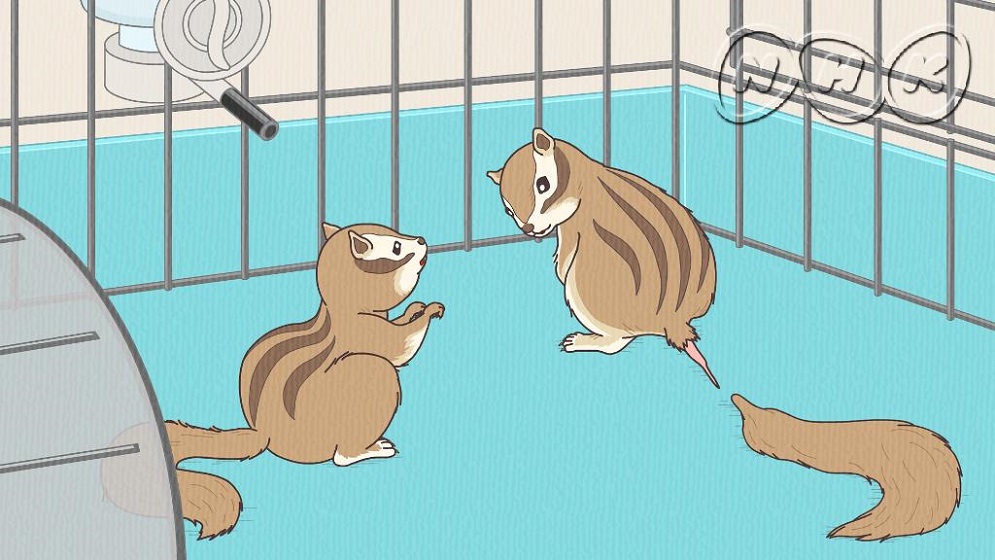 Zannen na Ikimono Jiten (Special)