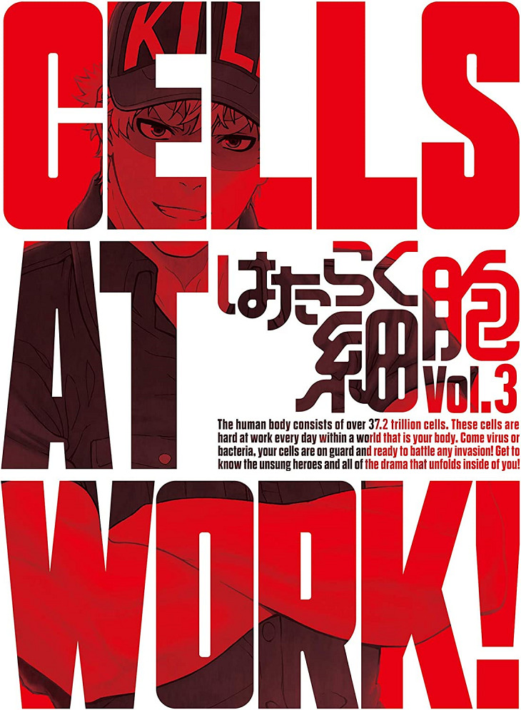 Hataraku Saibou Specials