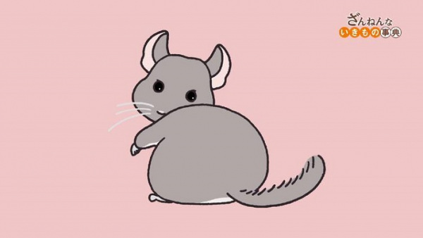 Zannen na Ikimono Jiten (2021)