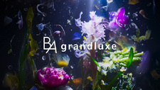 B.A grandluxe Brand Movie