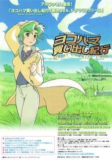 Путевые заметки о поездке за покупками в Йокогаму: Тихое загородное кафе