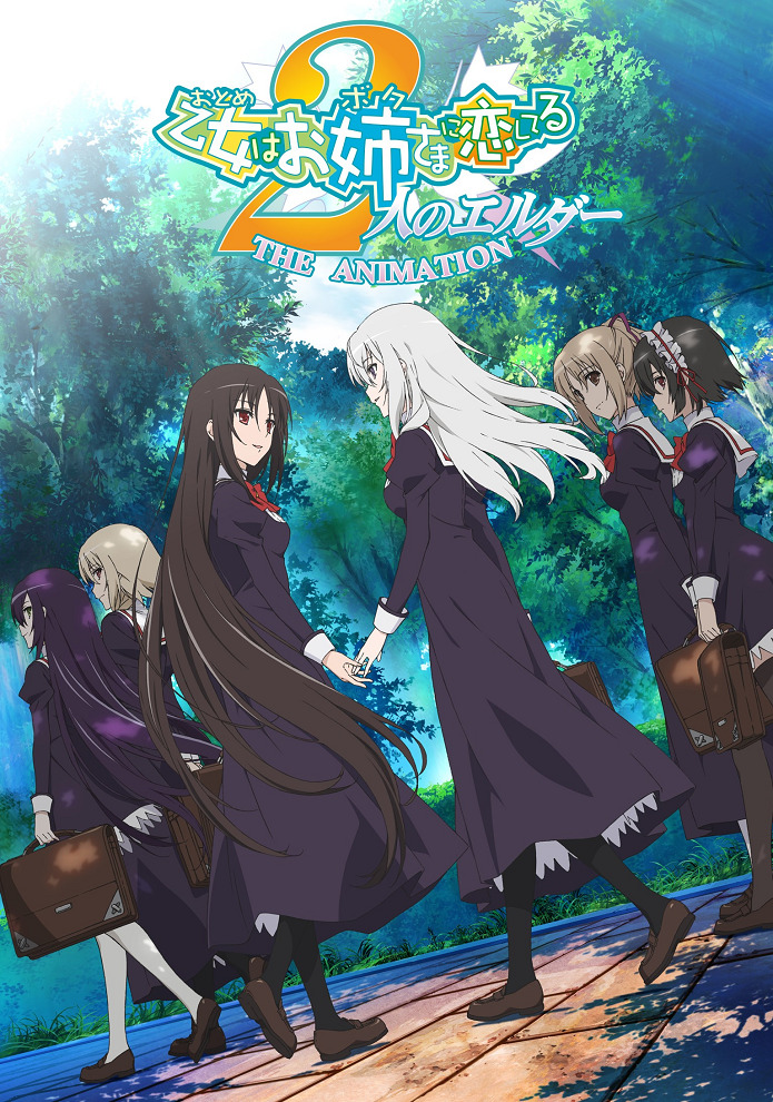 Постер аниме Девушка влюбилась в старшую сестру OVA смотреть онлайн