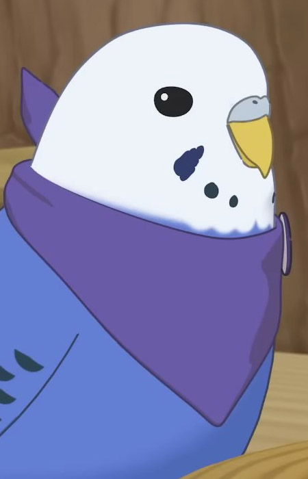 Постер персонажа Рупи