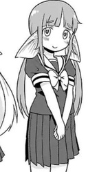 Плеко Намикава