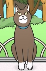 Коро