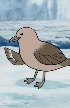 Южнополярный поморник