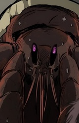 Демонический краб-отшельник