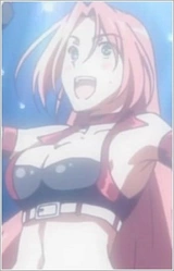 Акэми Сакамачи