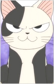 Постер персонажа Коччи