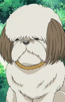 Постер персонажа Чокола Нода