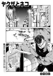 Yakuza to Neko