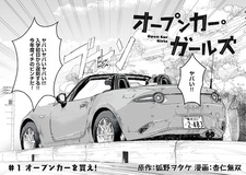 Open Car Girls
