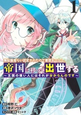 Mudameshigurai Nintei sareta node Aiso wo Tsukashi, Teikoku ni Utsutte Shusse suru: Oukoku no Erai Hito ni wa Sore ga Wakaran no desu