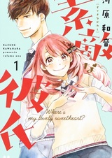 Suteki na Kareshi
